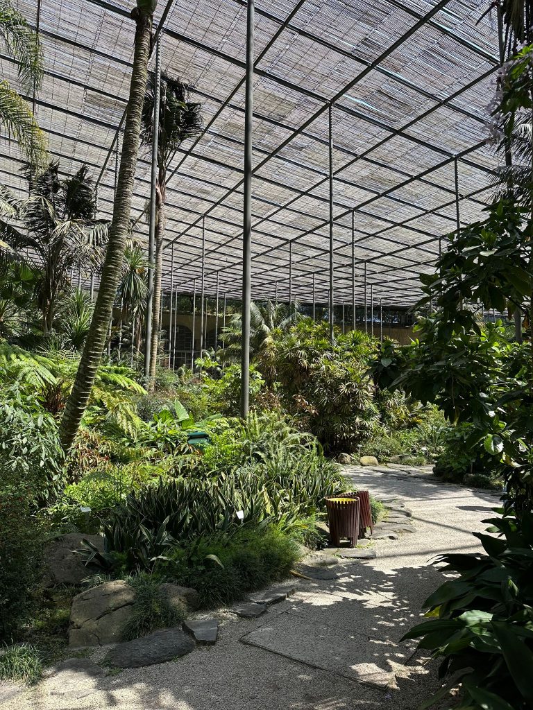 Explore the vibrant indoor greenery of Estufa Fria, a stunning greenhouse in Lisbon.